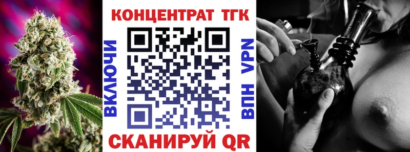 Купить  Сегежа  ТГК концентрат 